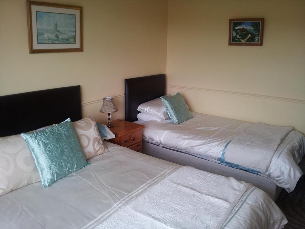 Tir Na Nog B&B Cashel  Exterior foto