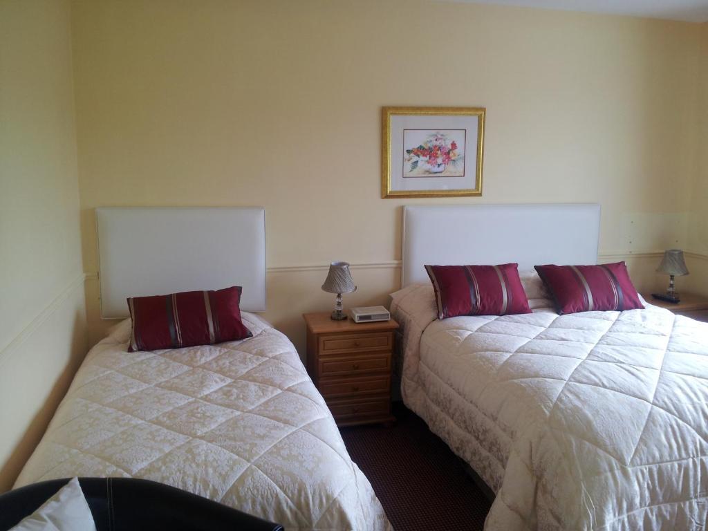 Tir Na Nog B&B Cashel  Exterior foto