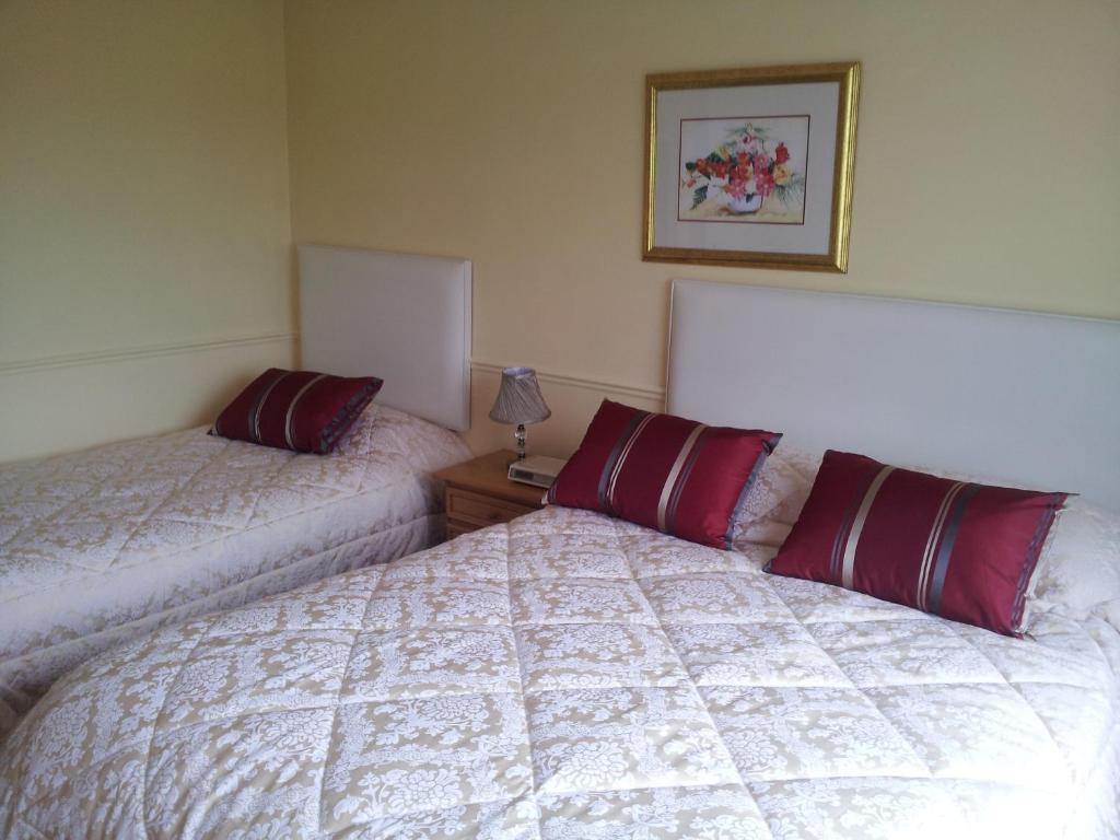 Tir Na Nog B&B Cashel  Exterior foto